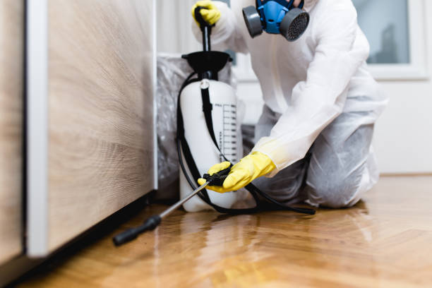Reliable Grafton, WI Pest Control Solutions