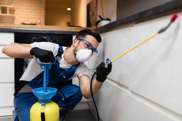 Best Flea Control Services  in Grafton, WI