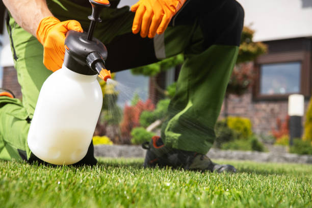 Pest Control for Restaurants in Grafton, WI