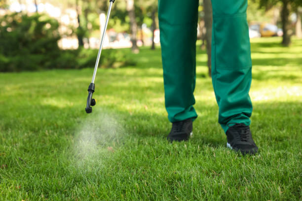 Flea Control Services in Grafton, WI