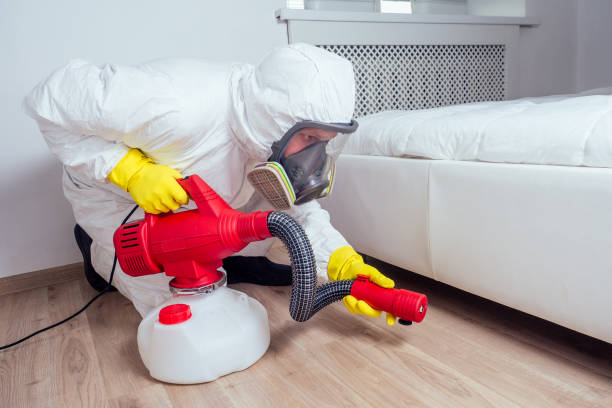 Best Wasp Removal Services  in Grafton, WI