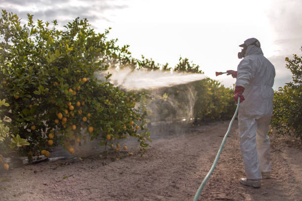 Best Best Pest Control Companies  in Grafton, WI
