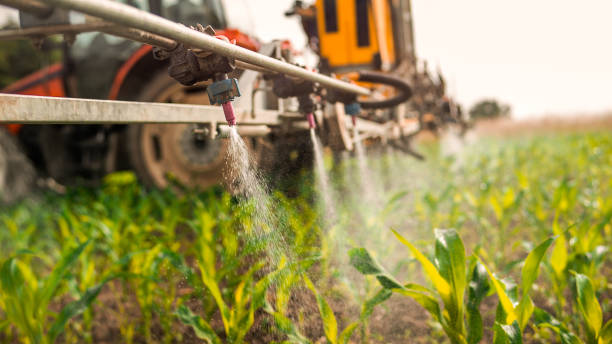 Best Pest Inspection Near Me  in Grafton, WI